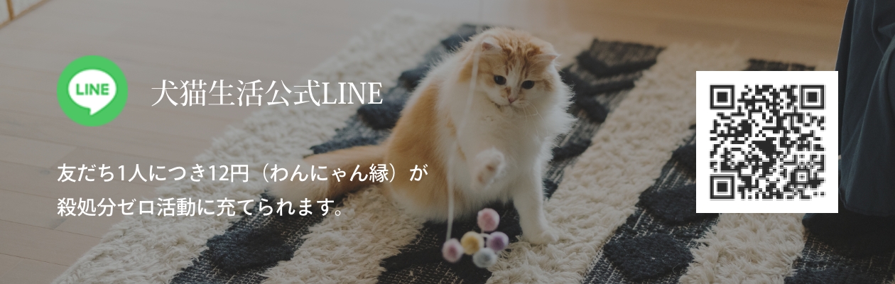 犬猫生活公式LINE